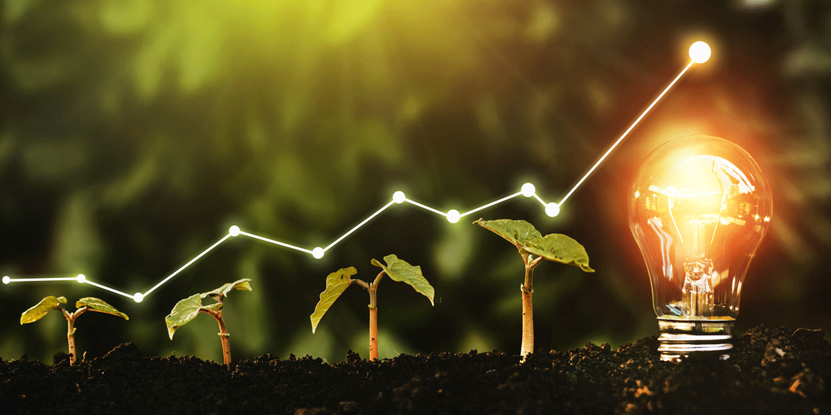 Renewable Energy: Transforming the Future of Sustainable Power